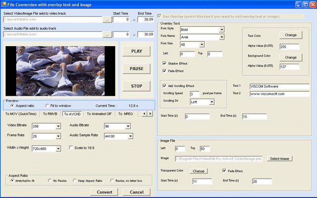 video player mfc application
